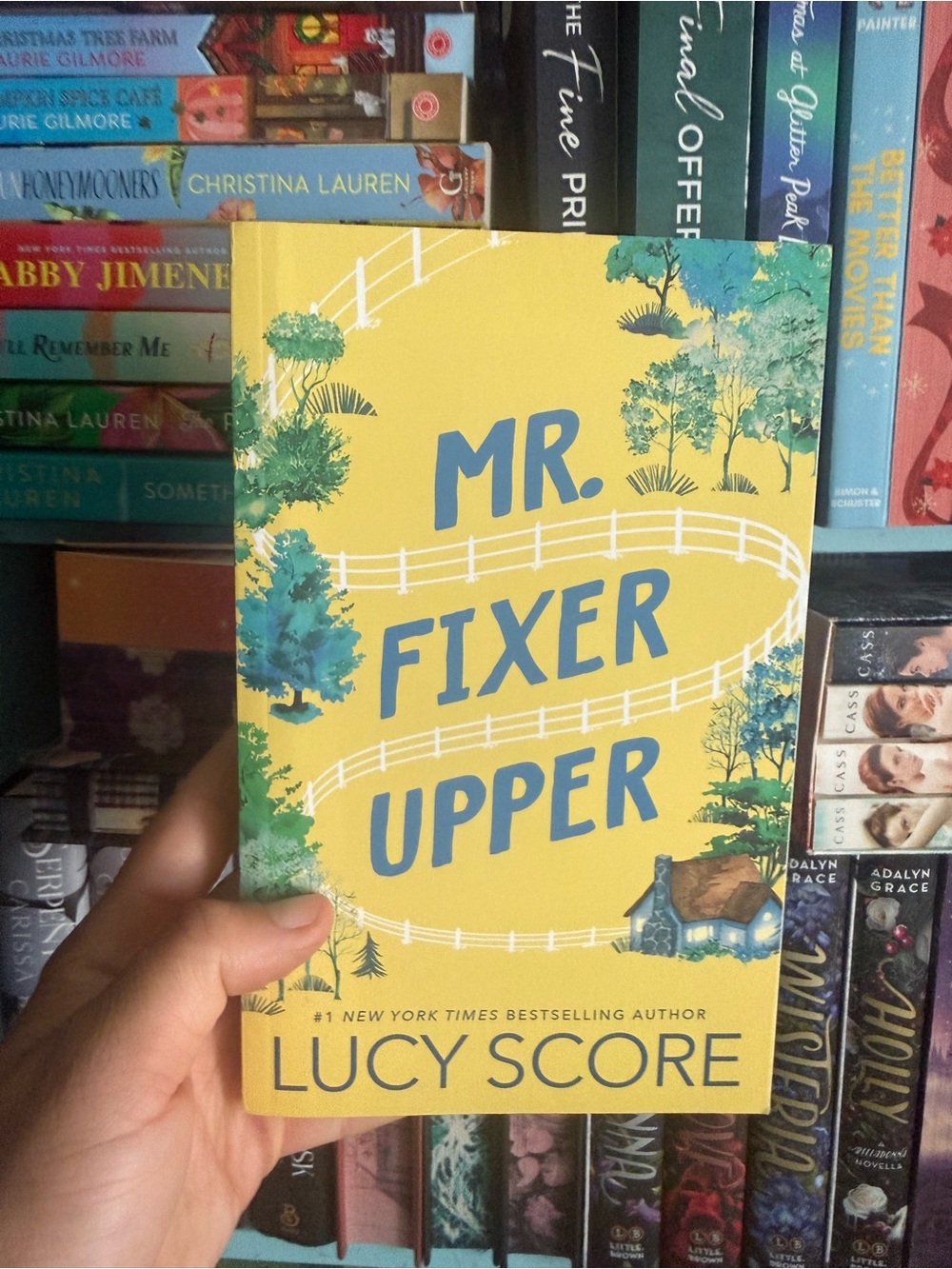 Mr. Fixer Upper | Lucy Score